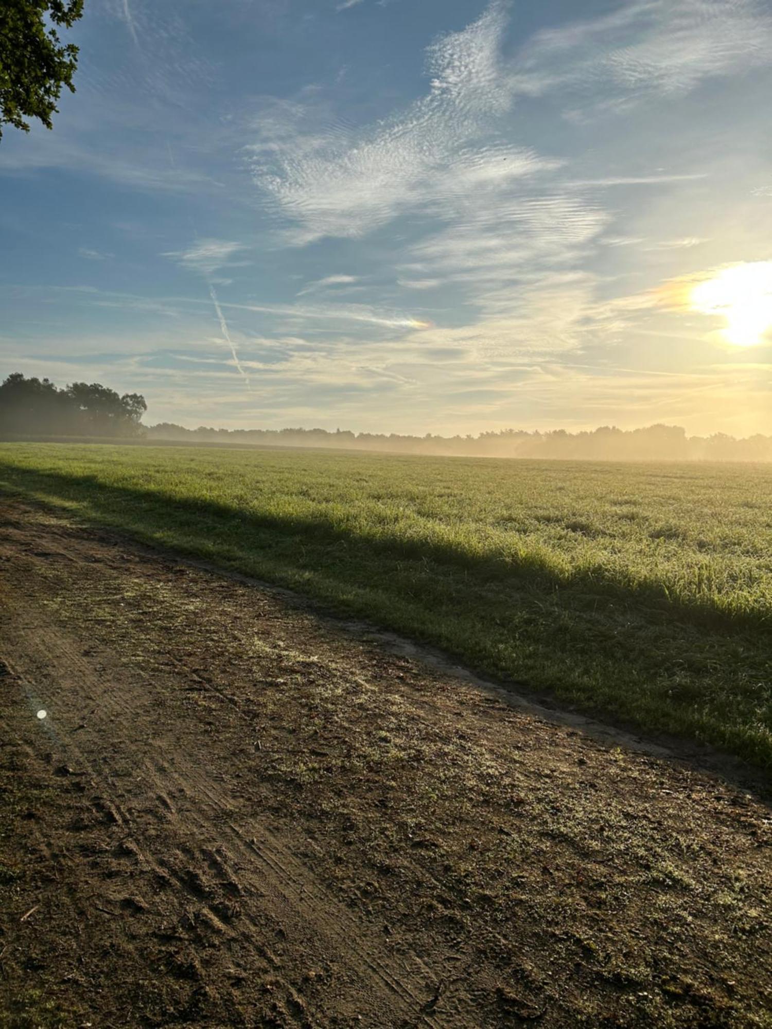 De Postelhoek B&B Oud-Ootmarsum Eksteriør billede