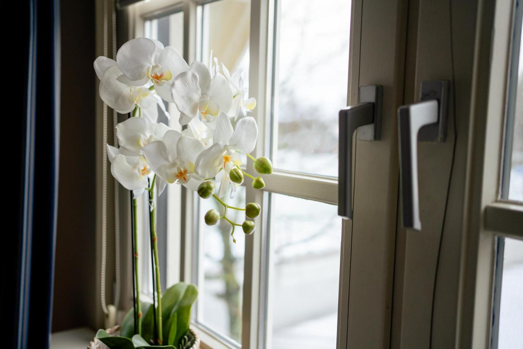 De Postelhoek B&B Oud-Ootmarsum Eksteriør billede